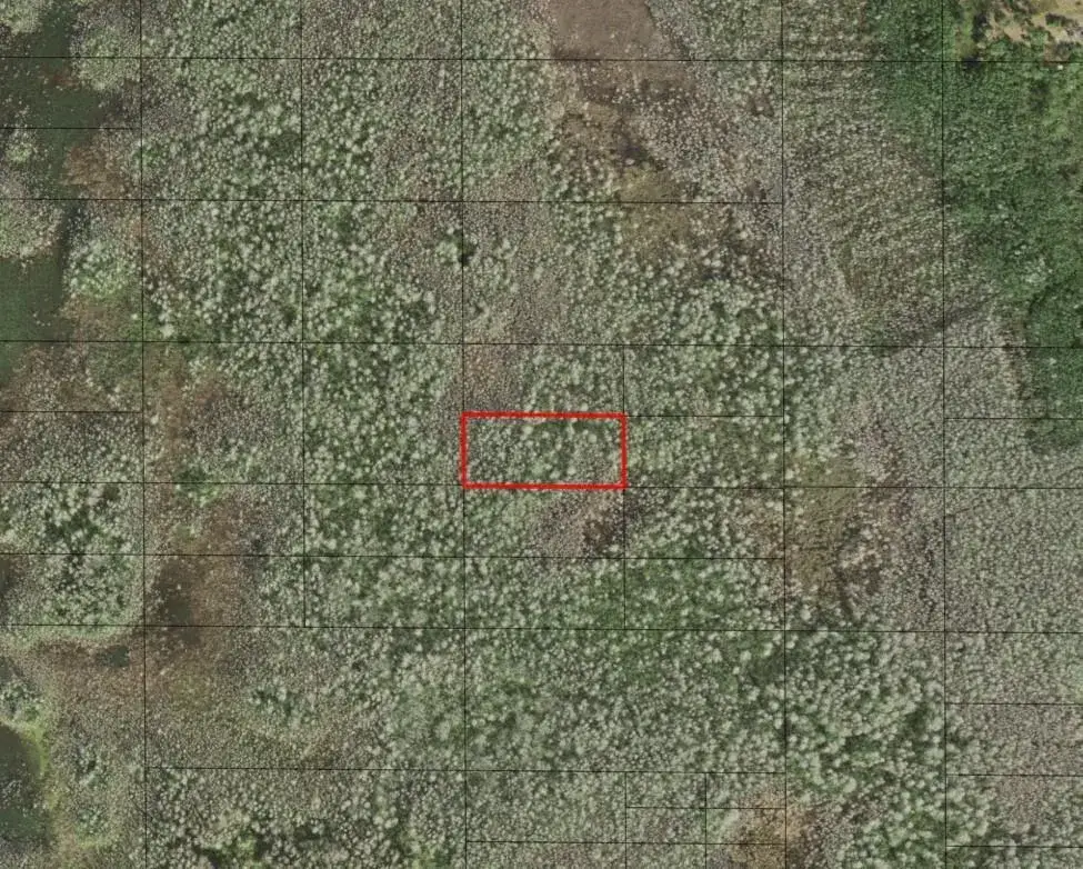 Land/Boat Docks for sale at 0 Holopaw Groves Road, FL 34772