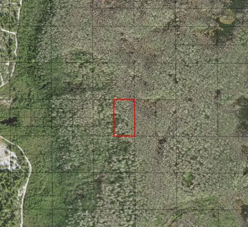 Land/Boat Docks for sale at 0 Holopaw Groves Road, FL 34772
