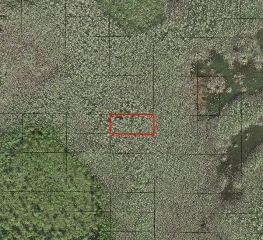 Land/Boat Docks for sale at 0 Holopaw Groves Road, FL 34772