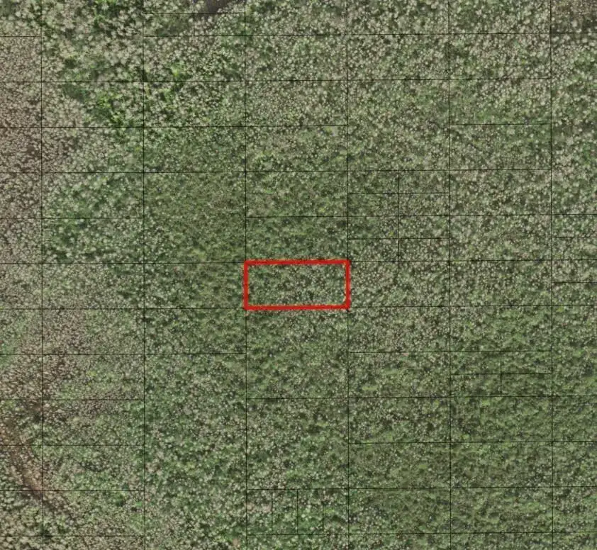 Land/Boat Docks for sale at 0 Holopaw Groves Road, FL 34772
