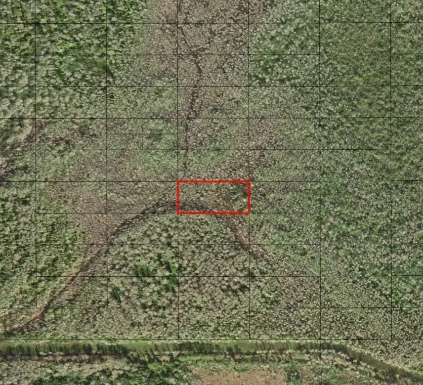 Land/Boat Docks for sale at 0 Holopaw Groves Road, FL 34772