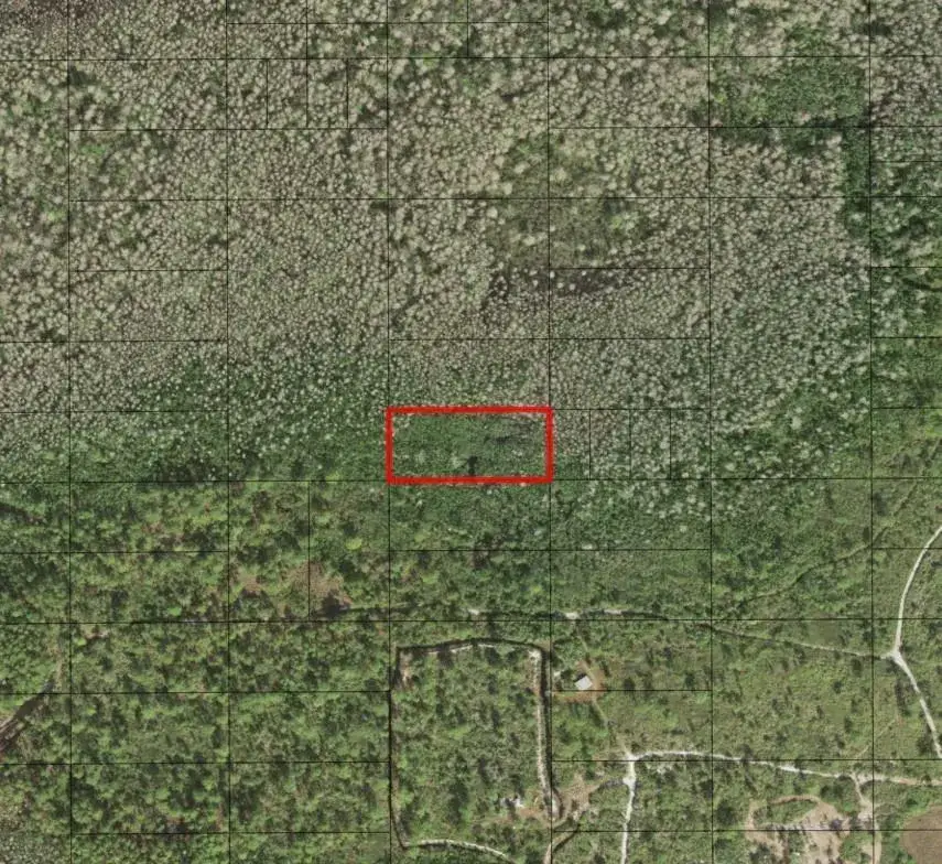 Land/Boat Docks for sale at 0 Holopaw Groves Road, FL 34772