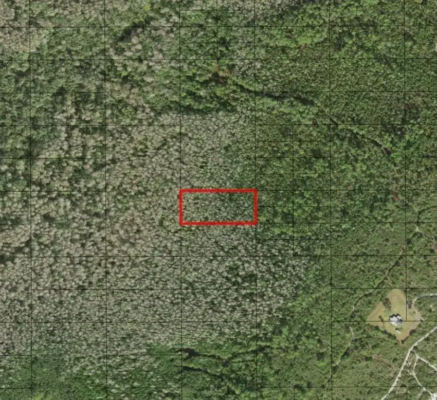 Land/Boat Docks for sale at 0 Holopaw Groves Road, FL 34772
