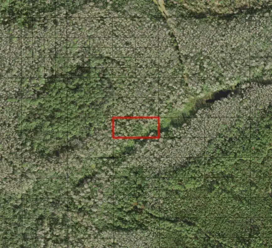 Land/Boat Docks for sale at 0 Holopaw Groves Road, FL 34772