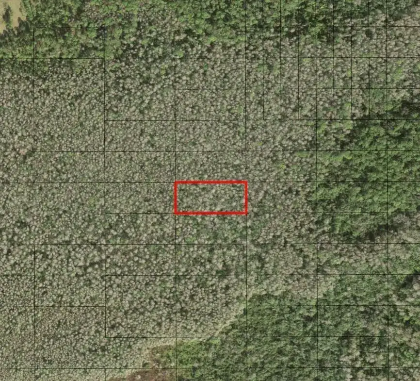 Land/Boat Docks for sale at 0 Holopaw Groves Road, FL 34772