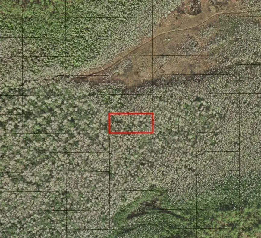 Land/Boat Docks for sale at 0 Holopaw Groves Road, FL 34772