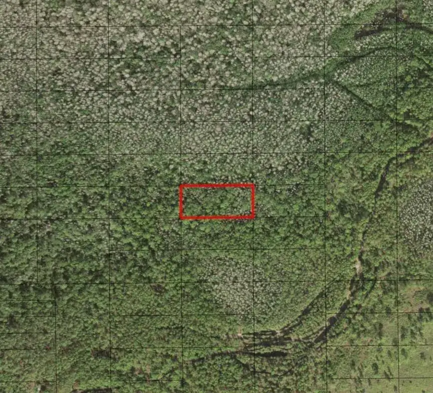 Land/Boat Docks for sale at 0 Holopaw Groves Road, FL 34772