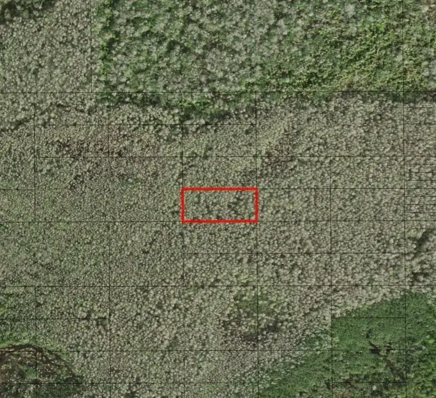 Land/Boat Docks for sale at 0 Holopaw Groves Road, FL 34772