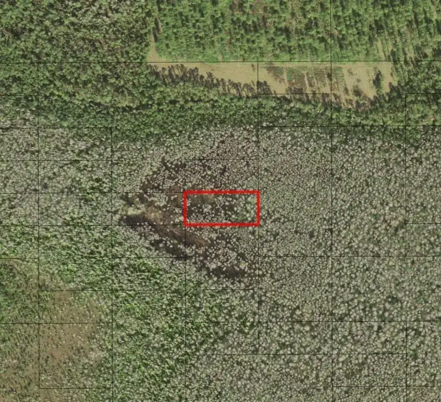 Land/Boat Docks for sale at 0 Holopaw Groves Road, FL 34772