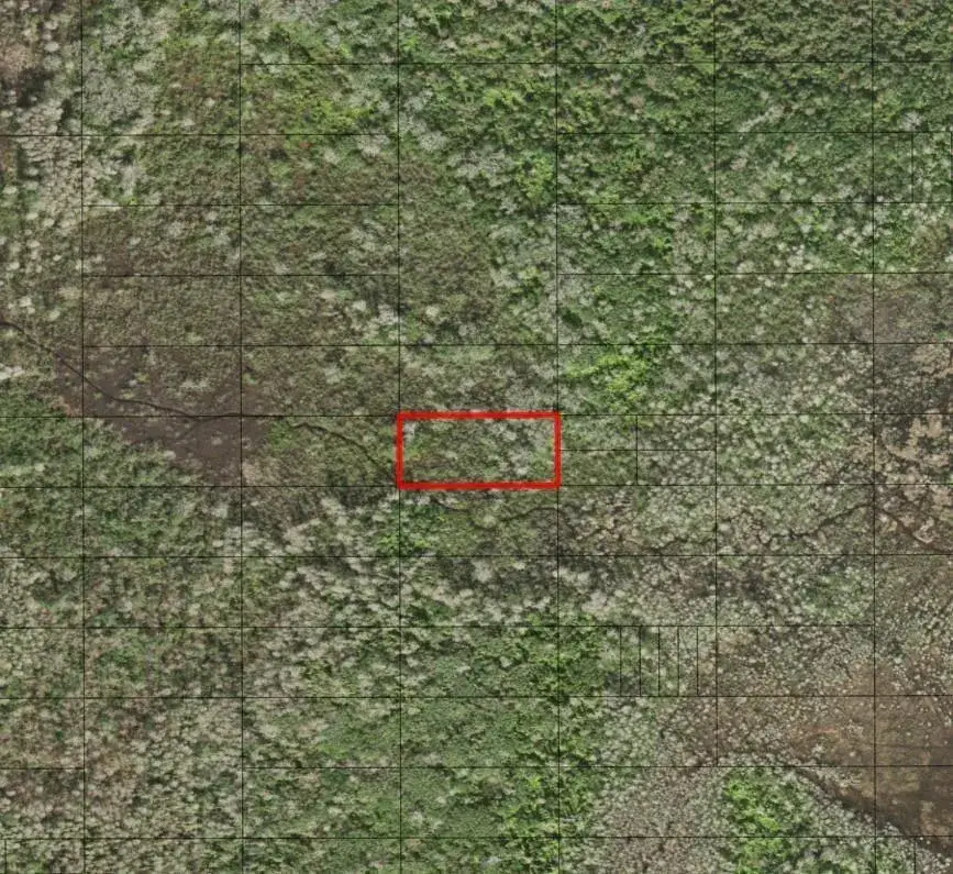 Land/Boat Docks for sale at 0 Holopaw Groves Road, FL 34772