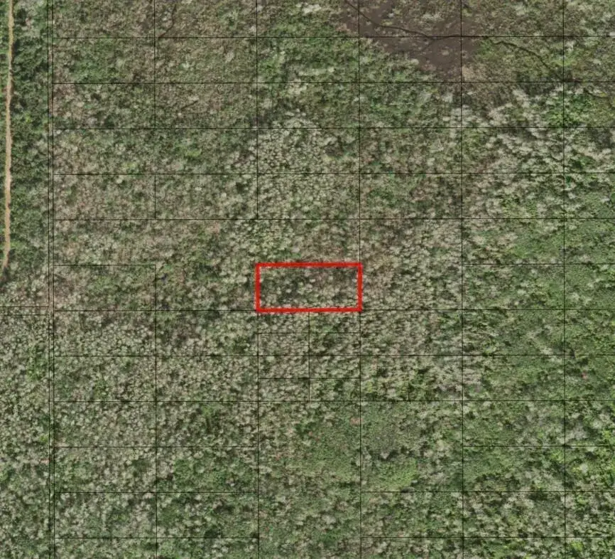 Land/Boat Docks for sale at 0 Holopaw Groves Road, FL 34772