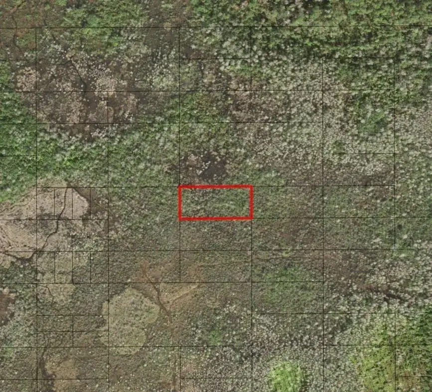Land/Boat Docks for sale at 0 Holopaw Groves Road, FL 34772