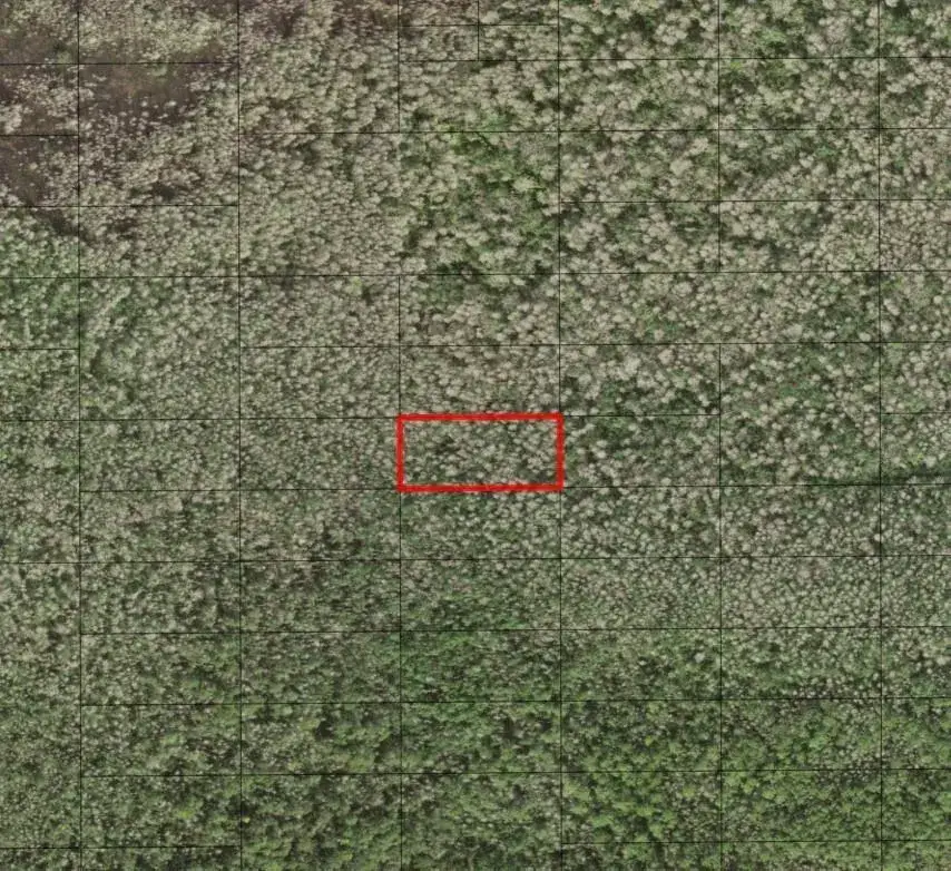 Land/Boat Docks for sale at 0 Holopaw Groves Road, FL 34772
