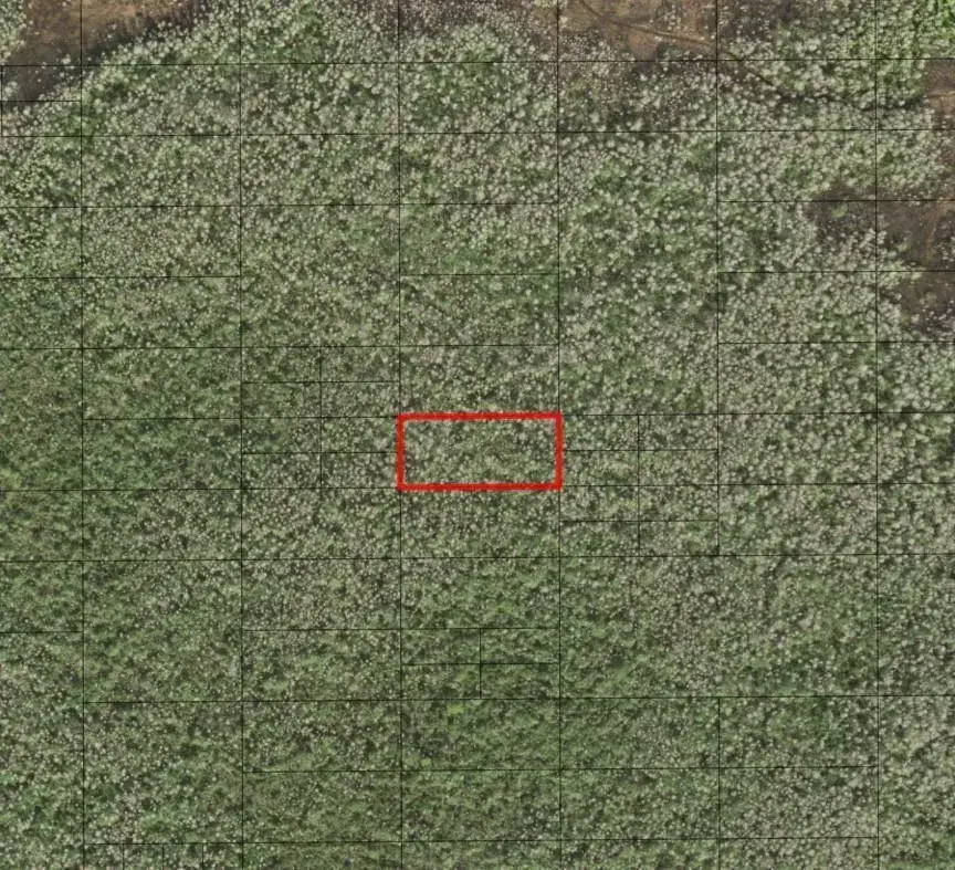 Land/Boat Docks for sale at 0 Holopaw Groves Road, FL 34772