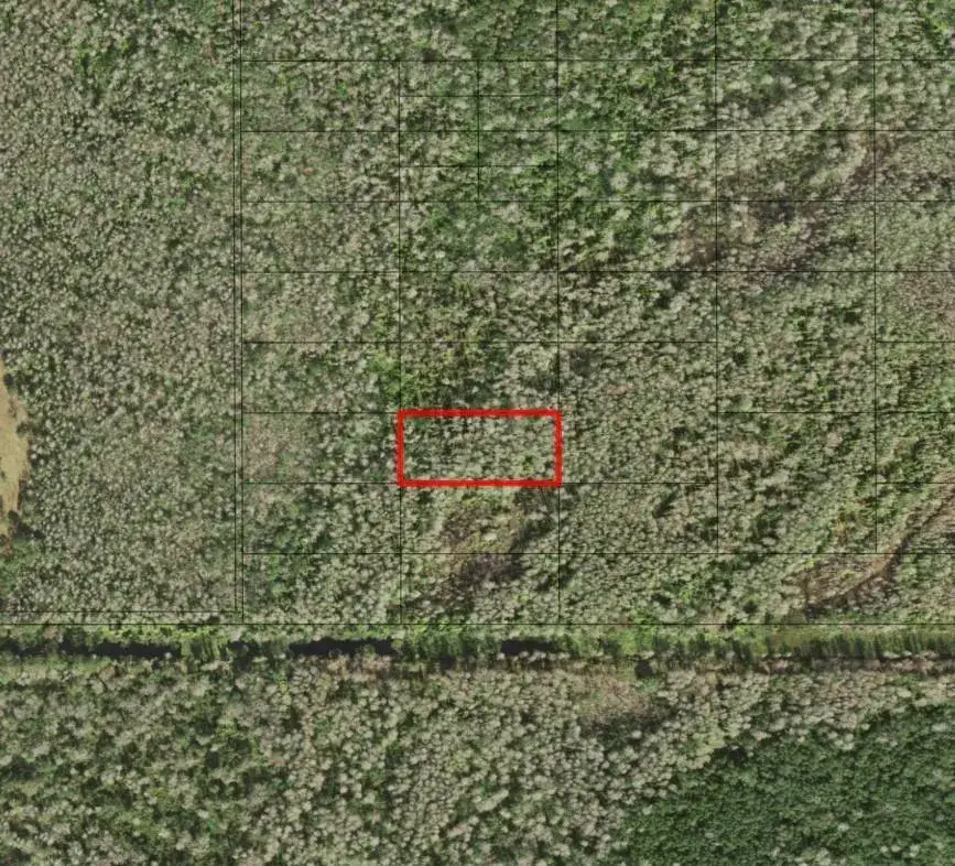 Land/Boat Docks for sale at 0 Holopaw Groves Road, FL 34772