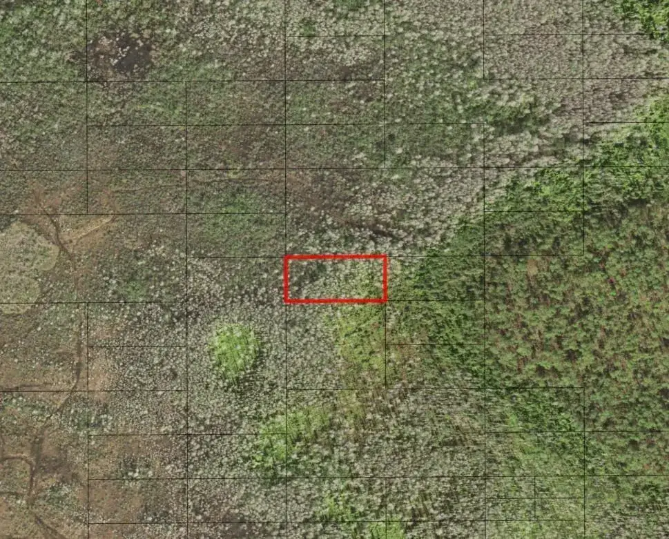 Land/Boat Docks for sale at 0 Holopaw Groves Road, FL 34772