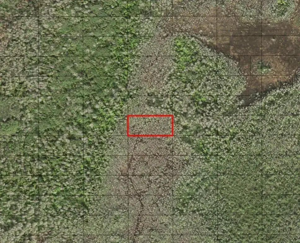 Land/Boat Docks for sale at 0 Holopaw Groves Road, FL 34772