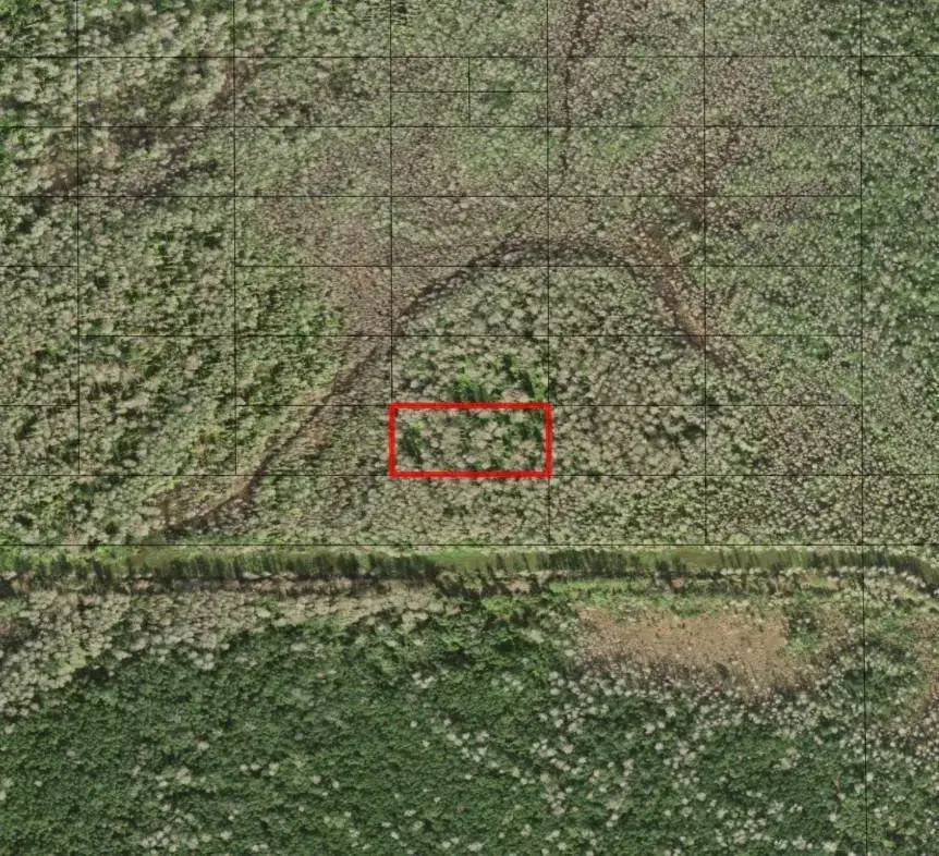 Land/Boat Docks for sale at 0 Holopaw Groves Road, FL 34772
