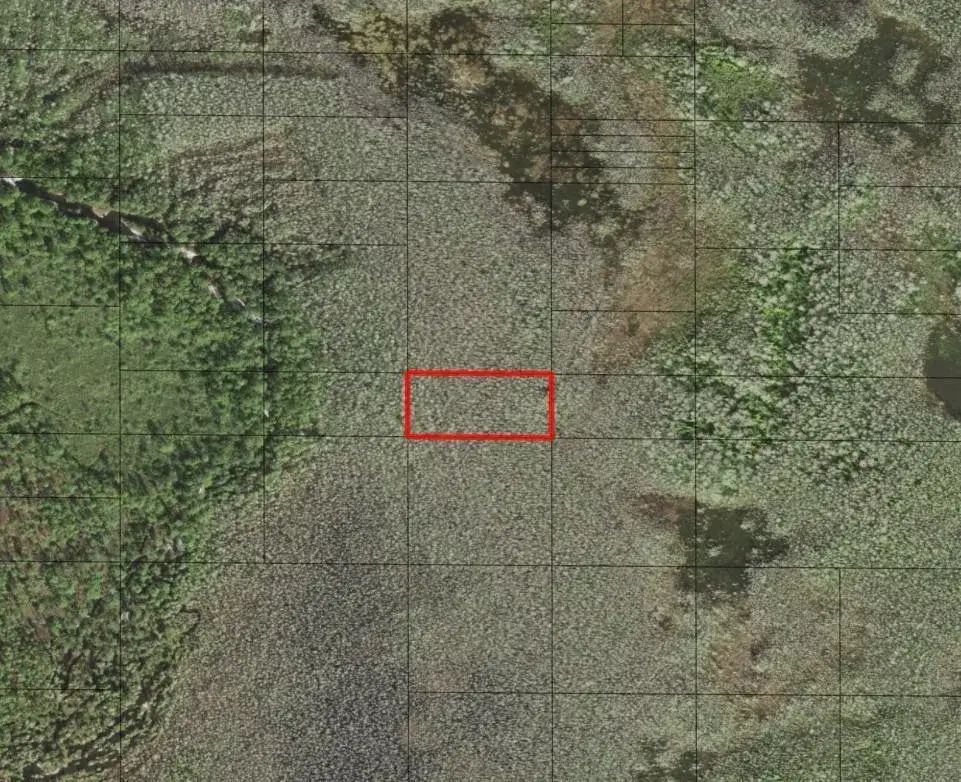 Land/Boat Docks for sale at 0 Holopaw Groves Road, FL 34772