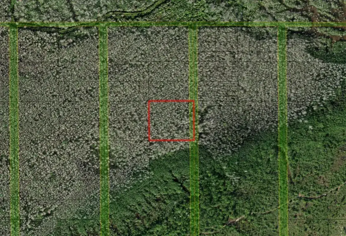 Land/Boat Docks for sale at 0 Holopaw Groves Road, FL 34772