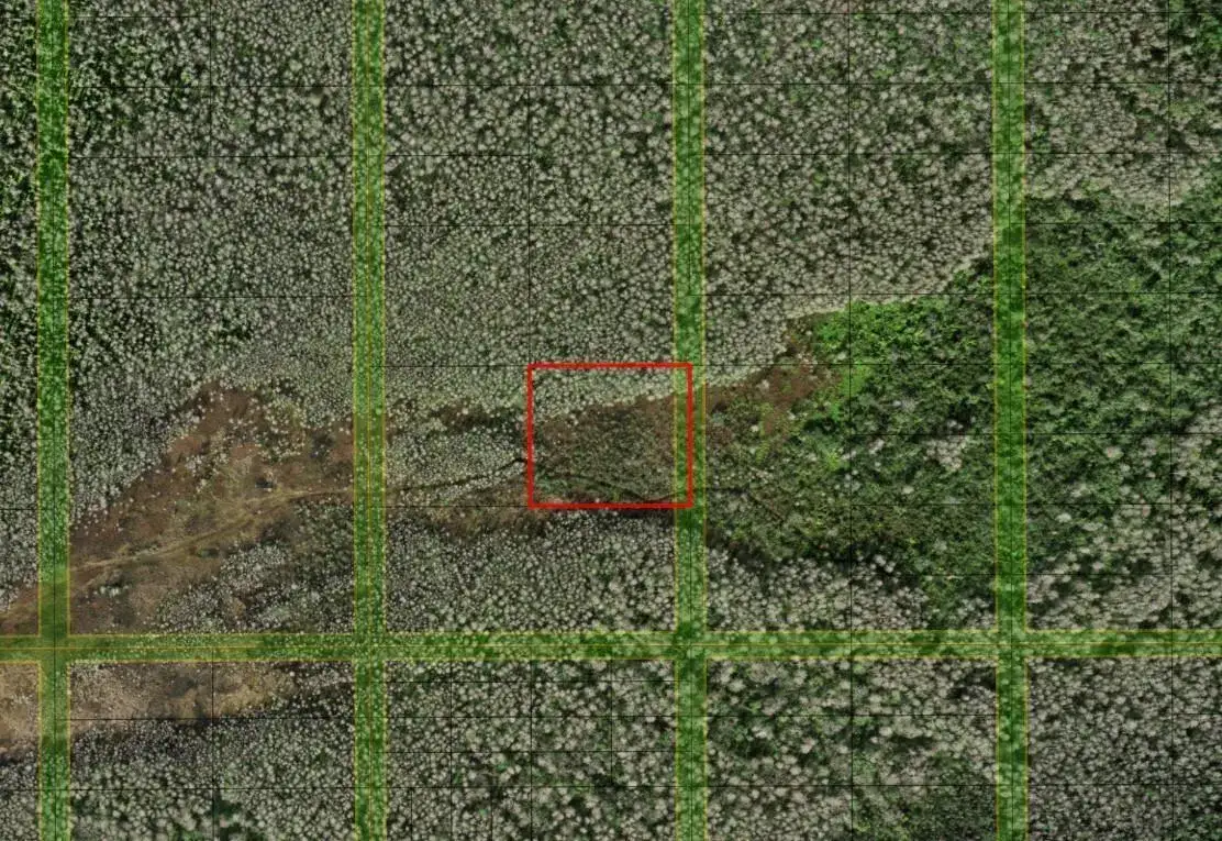 Land/Boat Docks for sale at 0 Holopaw Groves Road, FL 34772
