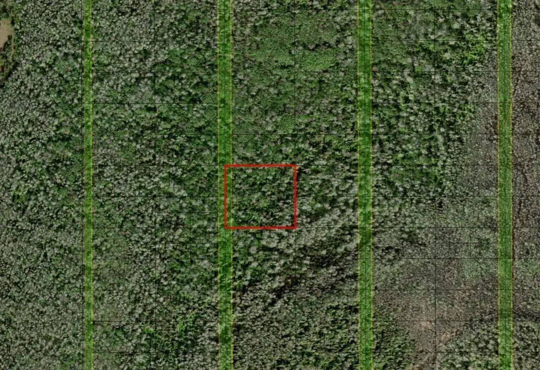 Land/Boat Docks for sale at 0 Holopaw Groves Road, FL 34772