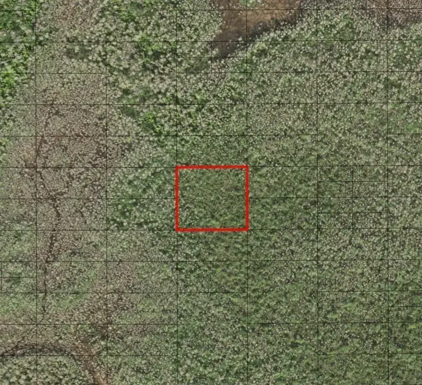 Land/Boat Docks for sale at 0 Holopaw Groves Road, FL 34772