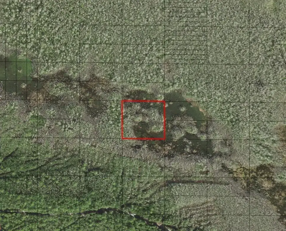 Land/Boat Docks for sale at 0 Holopaw Groves Road, FL 34772