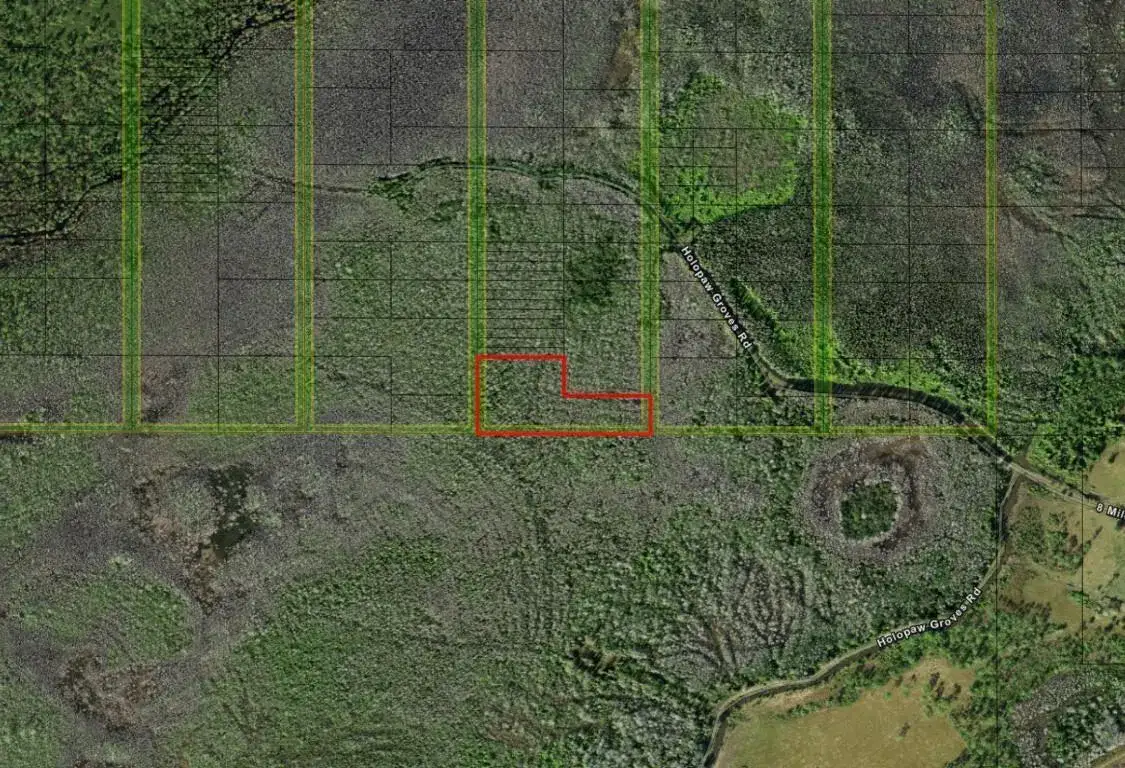 Land/Boat Docks for sale at 0 Holopaw Groves Road, FL 34772