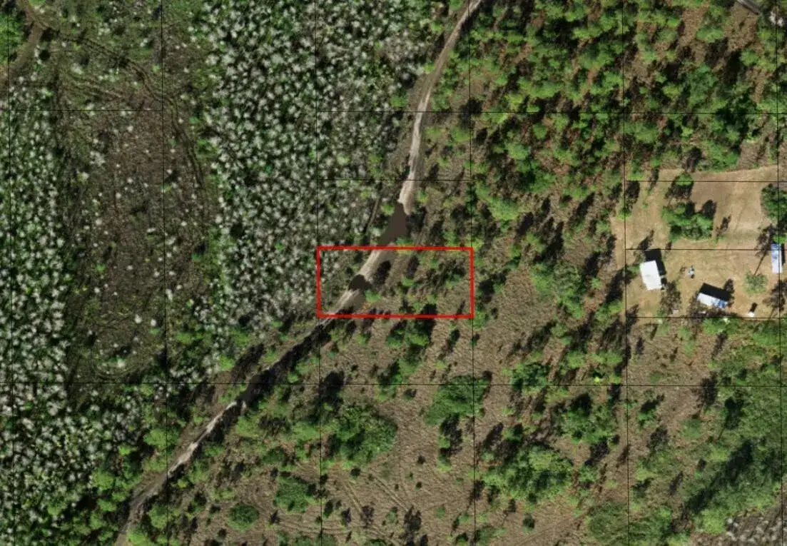 Land/Boat Docks for sale at 0 Holopaw Groves Road, FL 34772