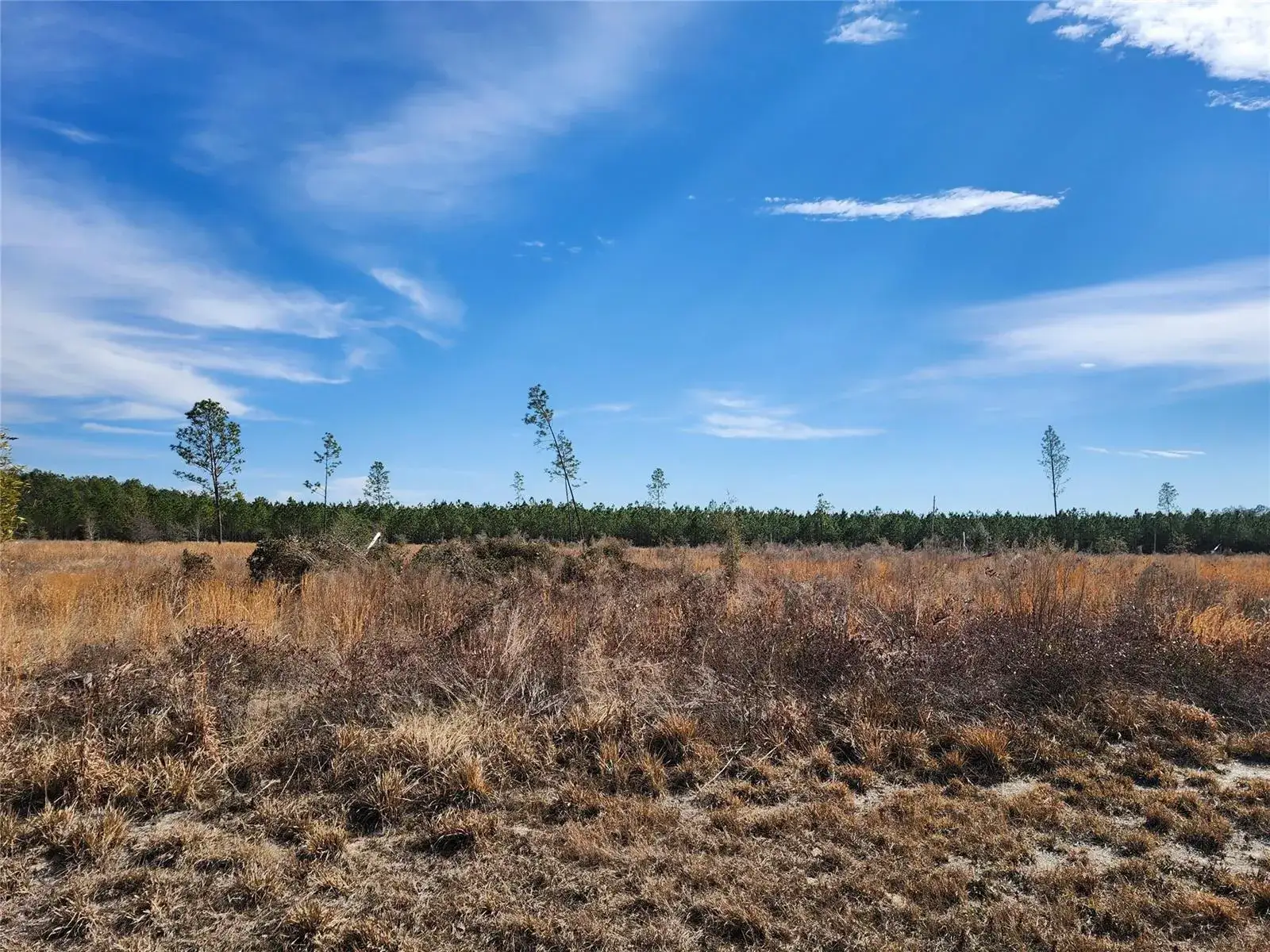 Land/Boat Docks for sale at Lot 50 Fl-50, FL 32060