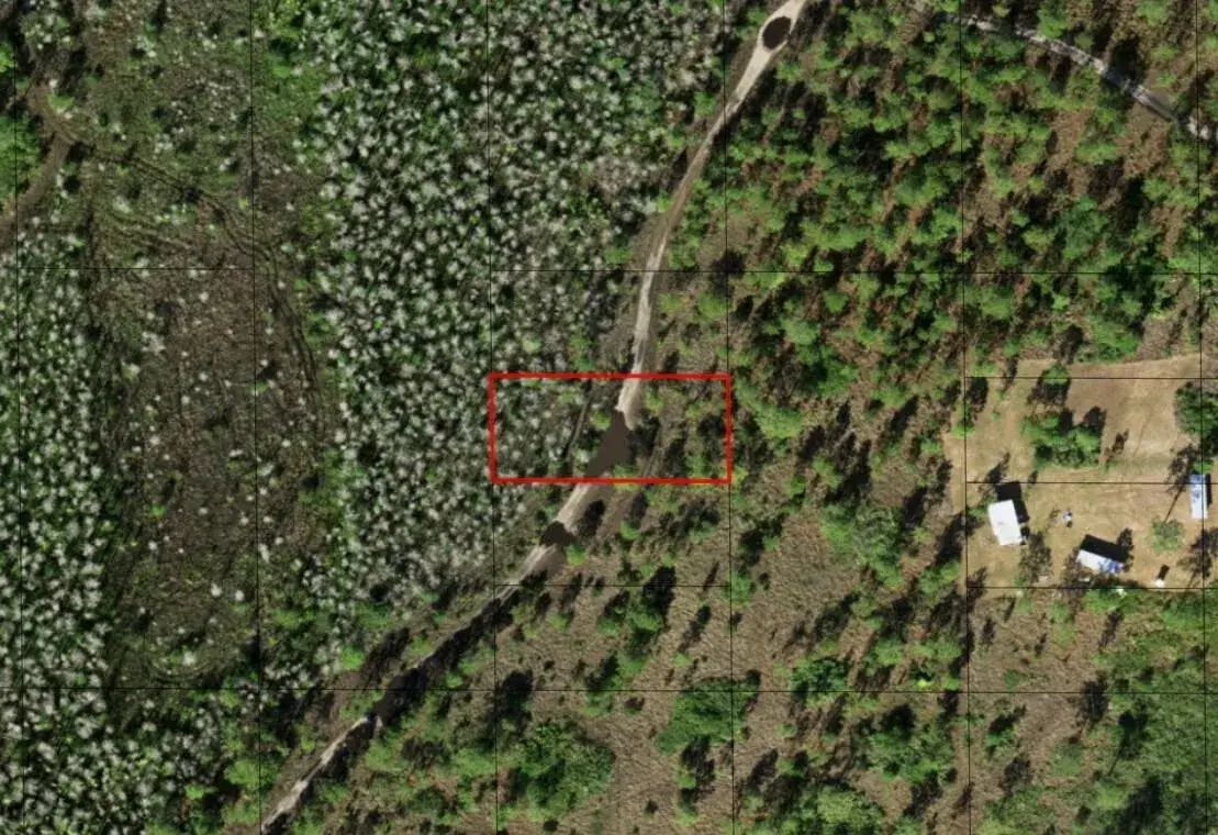 Land/Boat Docks for sale at 0 Holopaw Groves Road, FL 34772