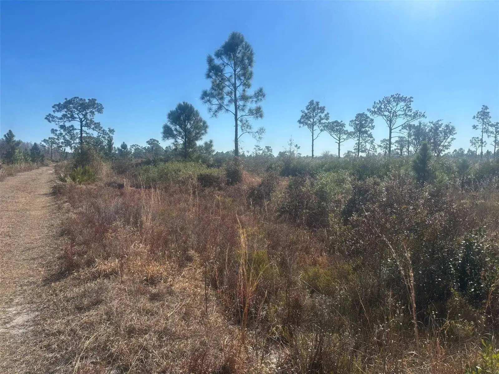 Land/Boat Docks for sale at 0 Xeriscape Nursery Road, Frostproof FL 33898