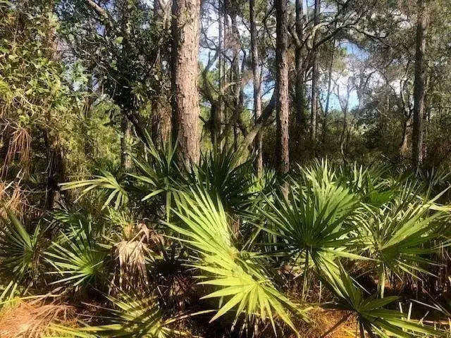 Land/Boat Docks for sale at 0 Old Grade Road, FL 33868