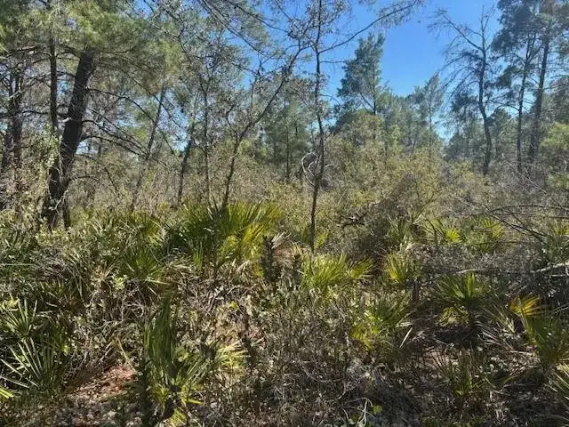 10681 Interlacher Drive, Sebring FL 33852