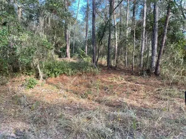 Land/Boat Docks for sale at 417 Incline, FL 32189