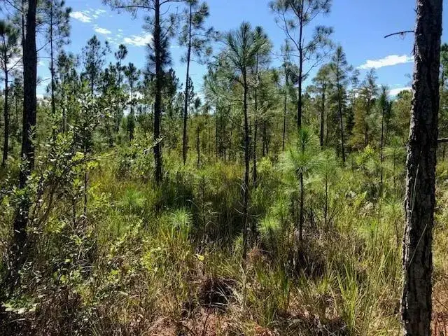 Land/Boat Docks for sale at 0 Old Grade Road, FL 33868