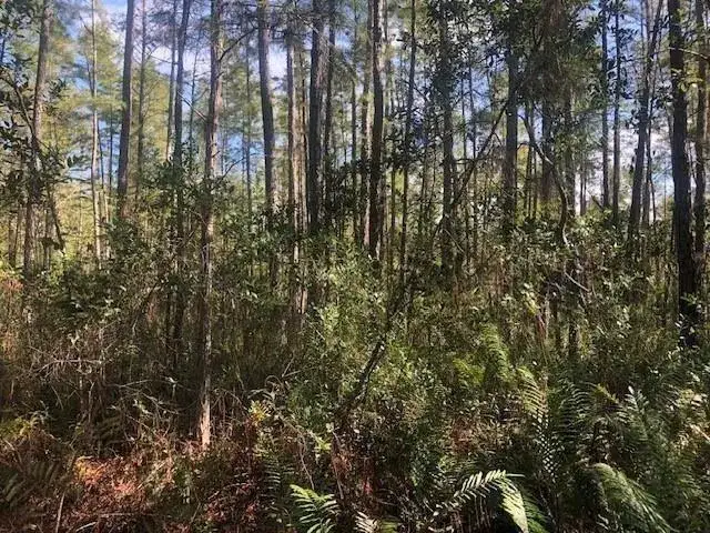 Land/Boat Docks for sale at 0 Old Grade Road, FL 33868
