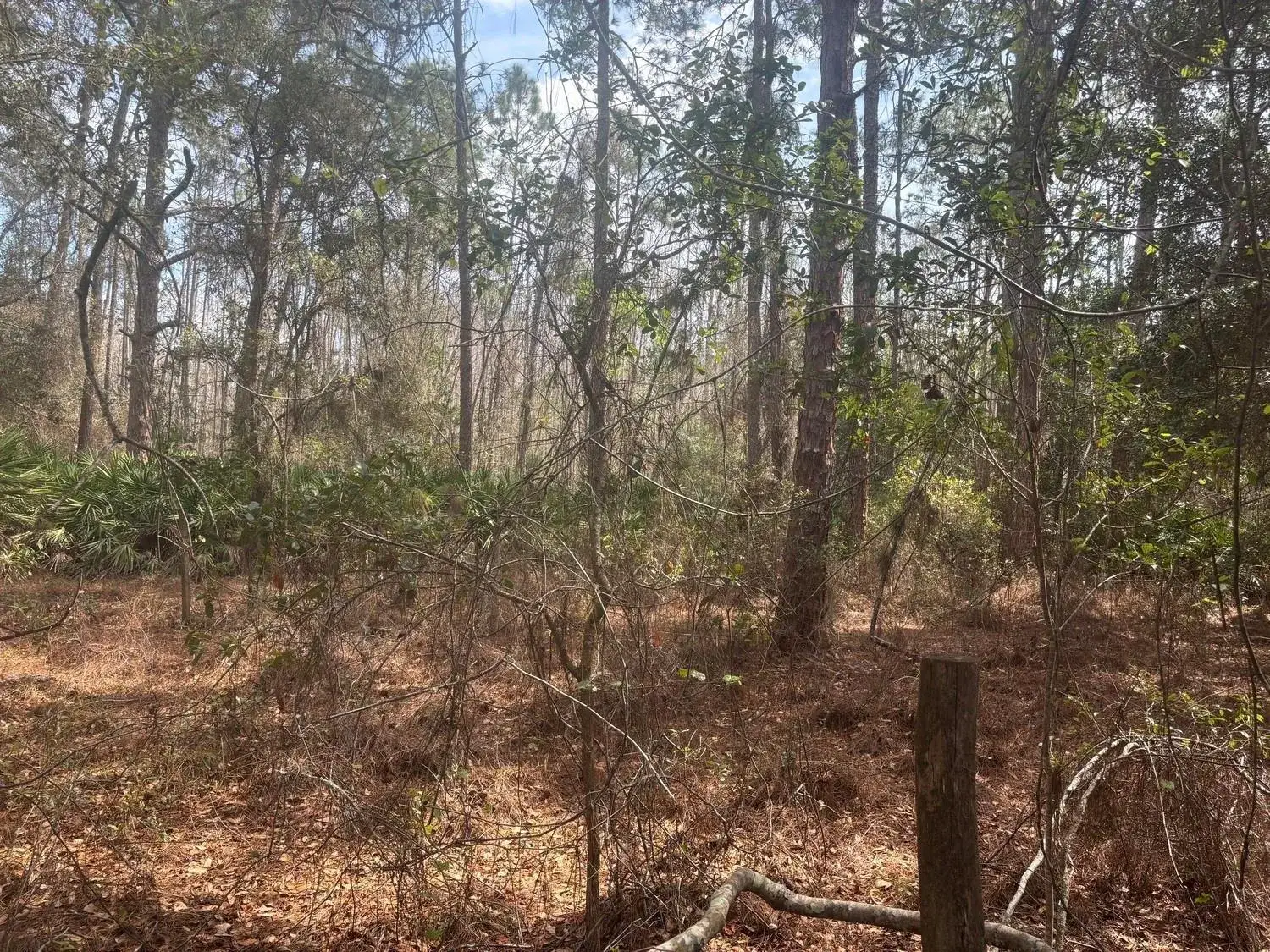 Land/Boat Docks for sale at 0 Old Grade Road, FL 33868