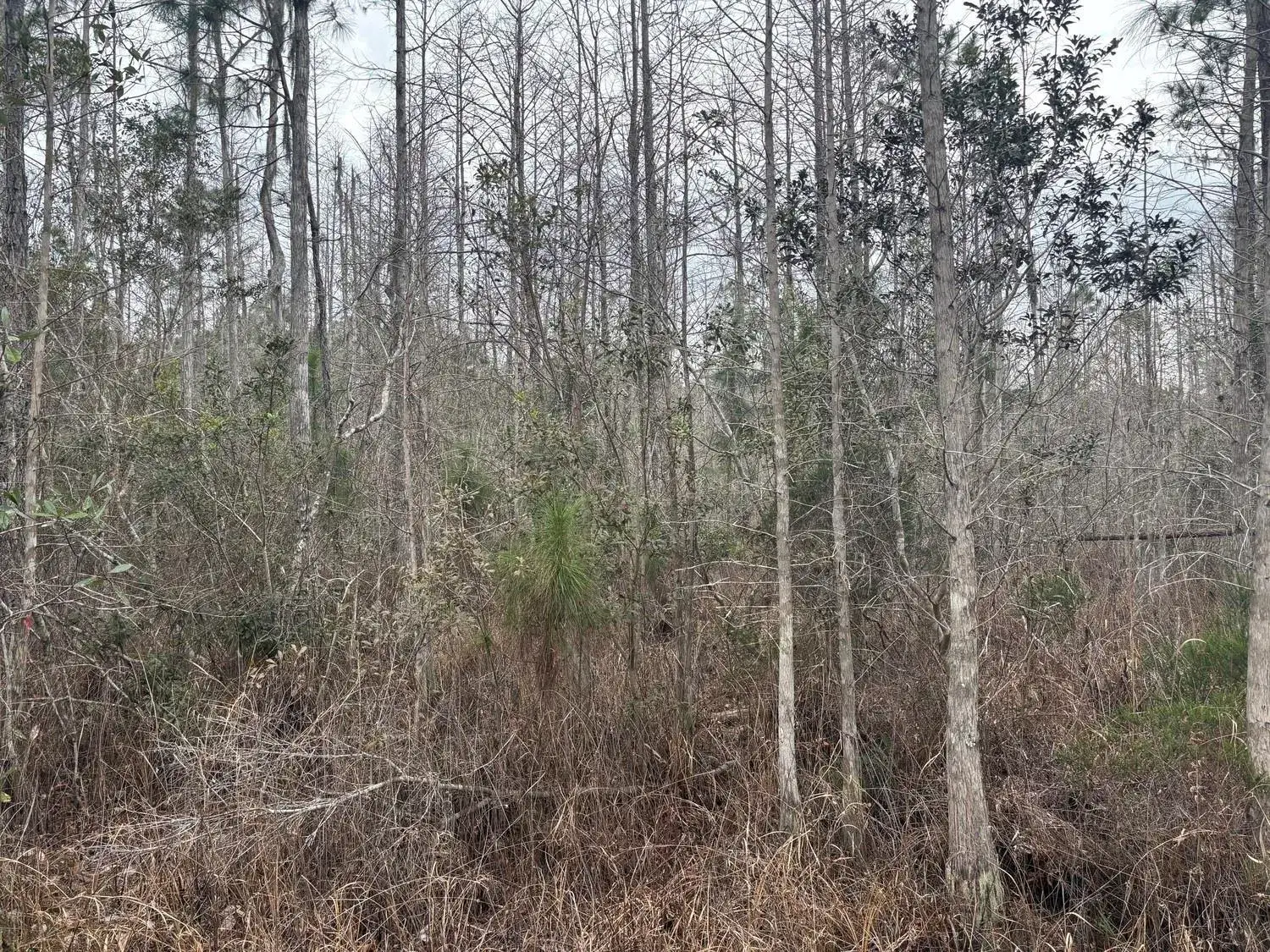 Land/Boat Docks for sale at 0 Old Grade Road, FL 33868