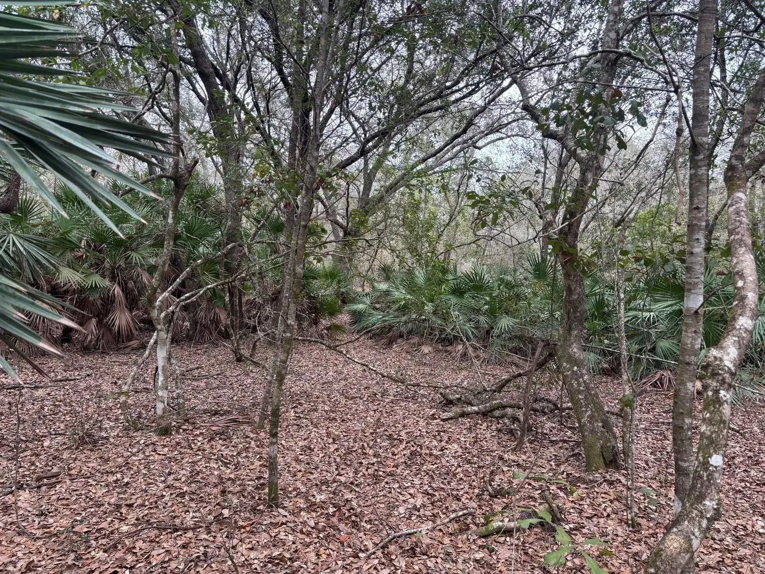 Land/Boat Docks for sale at 0 Old Grade Road, FL 33868
