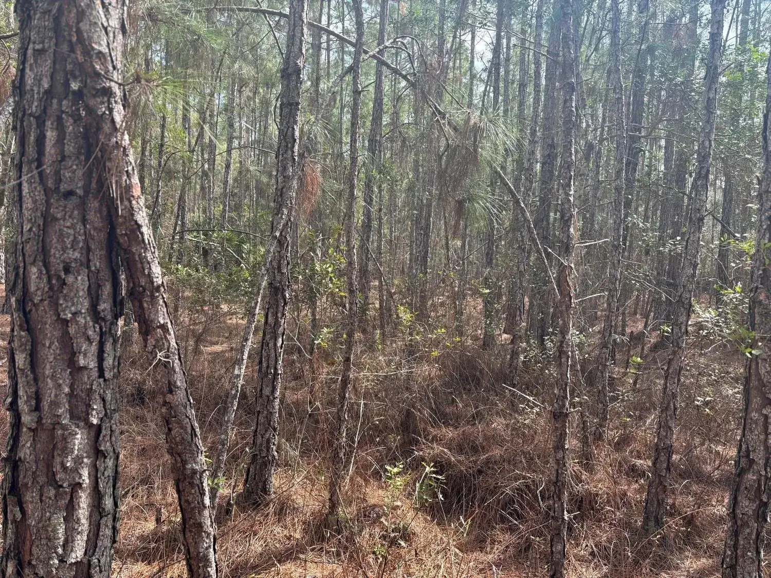 Land/Boat Docks for sale at 0 Old Grade Road, FL 33868