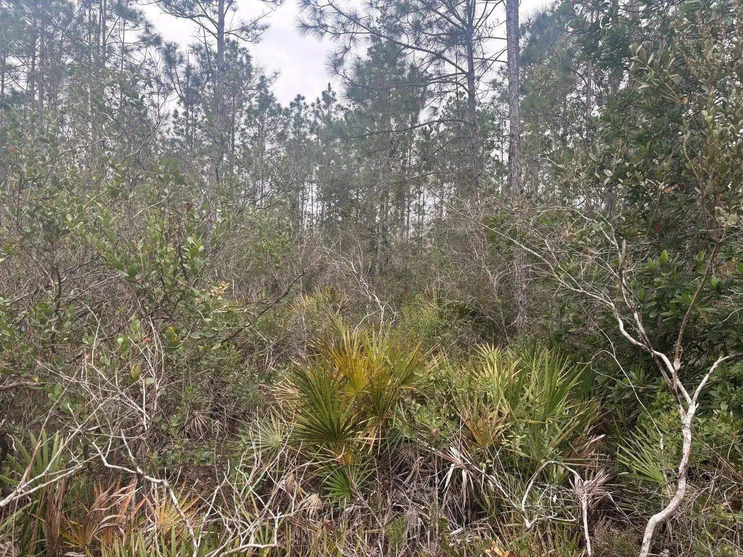 Land/Boat Docks for sale at 0 Old Grade Road, FL 33868