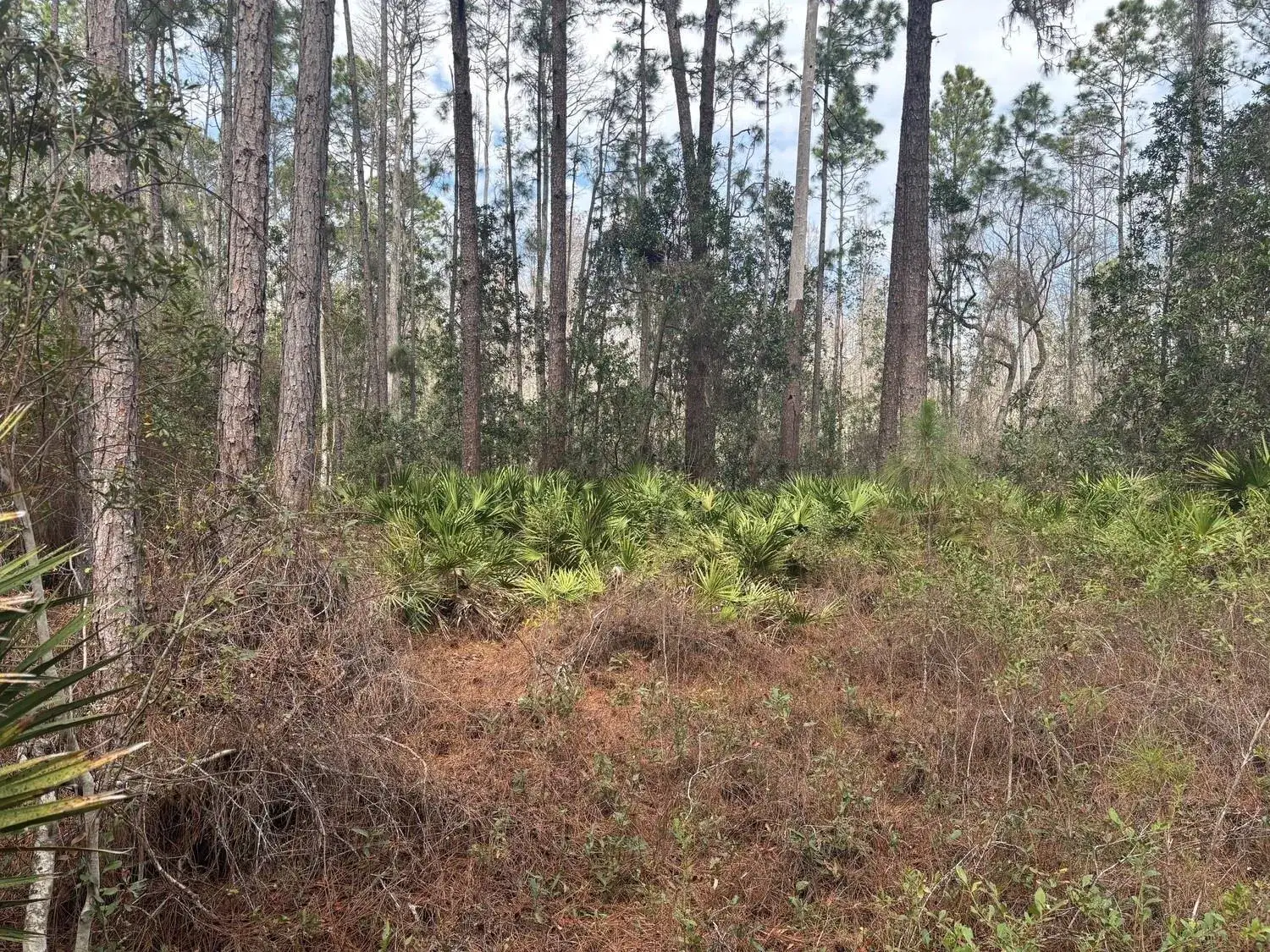 Land/Boat Docks for sale at 0 Old Grade Road, FL 33868