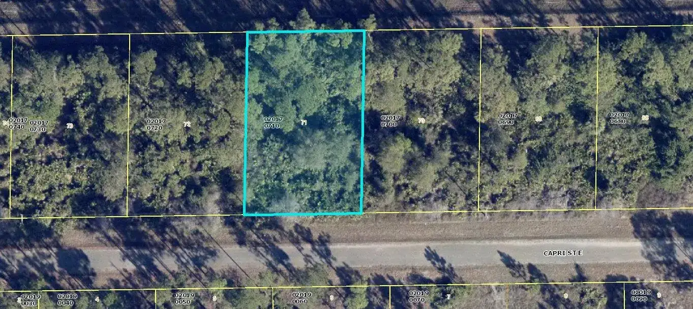 Land/Boat Docks for sale at 1113 Capri Street E, Lehigh Acres FL 33974