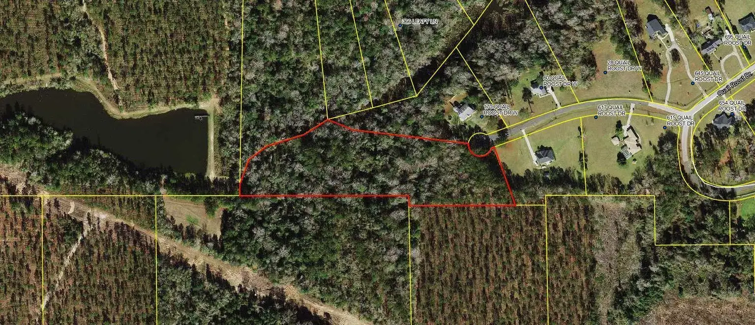 Land/Boat Docks for sale at Tbd W Quail Roost Drive, FL 32352