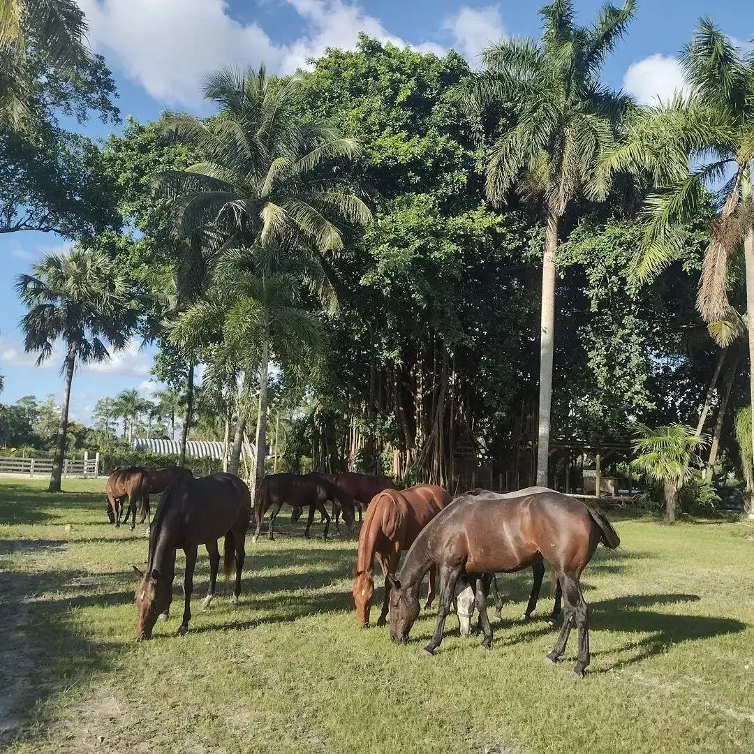 Commercial Land for sale at 1100 D Road, FL 33470