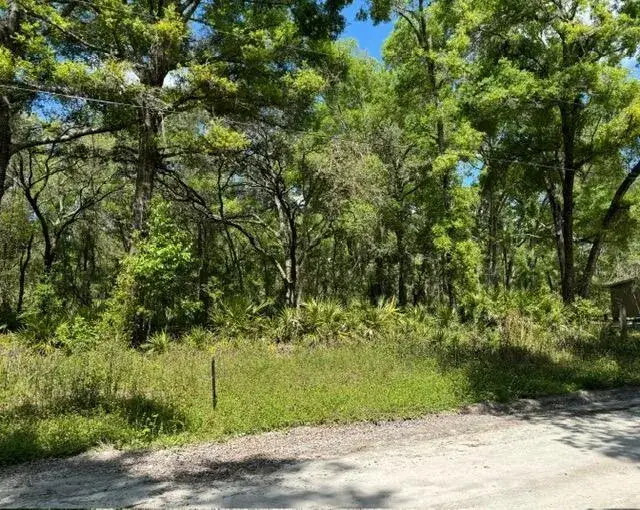 Land/Boat Docks for sale at Tbd NE 472nd Avenue, FL 32680