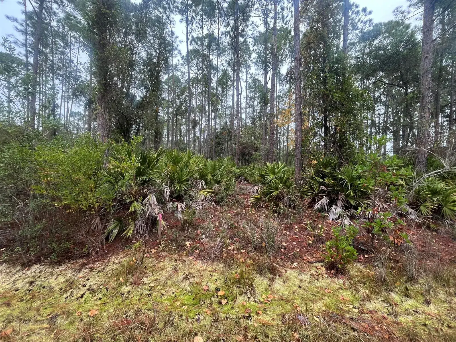 Land/Boat Docks for sale at 222 Marie Avenue, FL 32139