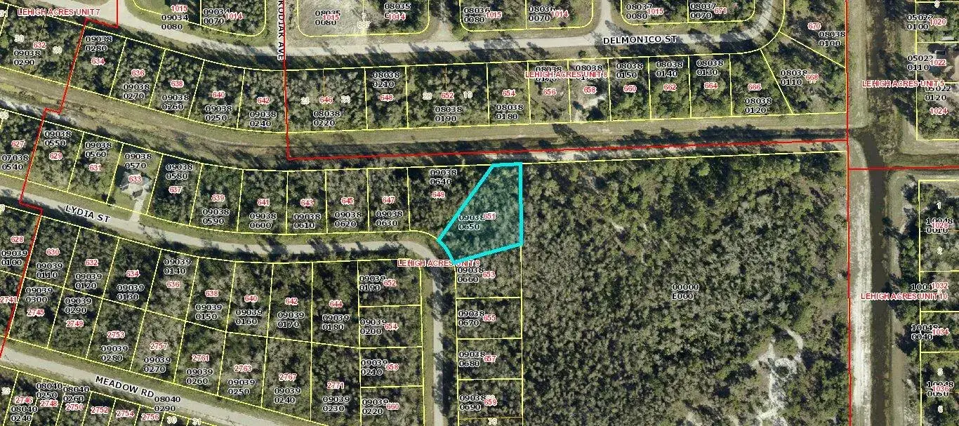 Land/Boat Docks for sale at 651 Lydia Street, Lehigh Acres FL 33974